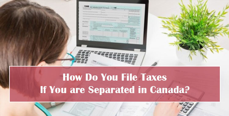 How Do You File Taxes If You are Separated in Canada Featured Image